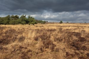 Nationaal Park Veluwezoom