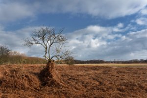 Amsterdamse Waterleidingduinen