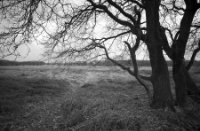 Amsterdamse Waterleidingduinen