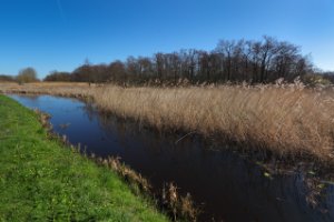 Ackerdijkse plassen