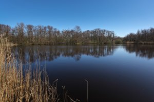 Ackerdijkse plassen