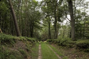 Nationaal Park Veluwezoom