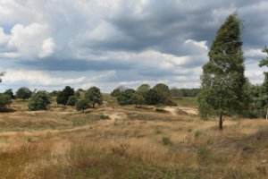 Nationaal Park Veluwezoom