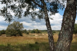 Nationaal Park Veluwezoom