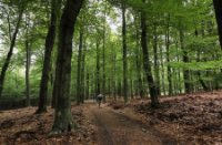 Nationaal Park Veluwezoom