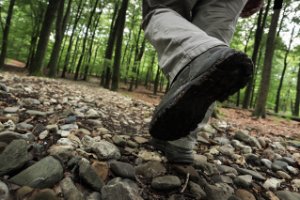 Nationaal Park Veluwezoom