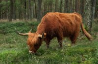 Nationaal Park Veluwezoom