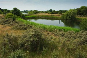 Amterdamse Waterleidingduinen