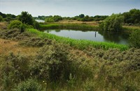 Amterdamse Waterleidingduinen, Amterdamse Waterleidingduinen