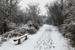 Natuurgebied Meijendel