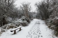 Natuurgebied Meijendel