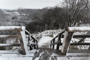 Natuurgebied Meijendel