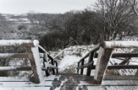 Natuurgebied Meijendel, Natuurgebied Meijendel