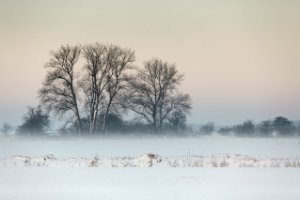 Amerongse Bovenpolder