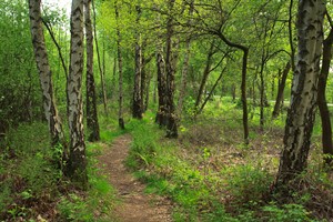 Wandelpad Mariapeel