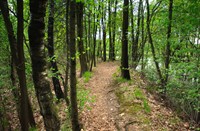 Wandelpad Mariapeel, Mariapeel en Deurnesepeel