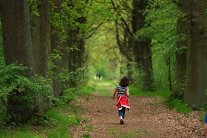 Wandelpad van Mariapeel