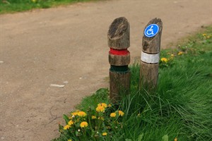 Wandelpaden van Reindersmeer