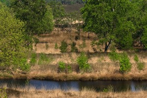 Nationaal Park De Maasduinen te Welerlooi