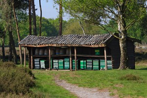 Bijenekorven in De Maasduinen te Welerlooi