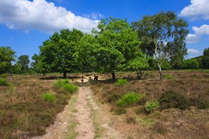 Westerveld - Gooi