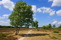 Westerveld - Gooi, Westerveld