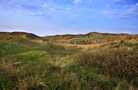 Duinen in De Muy