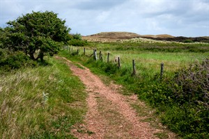 Eijerlandse Duinen