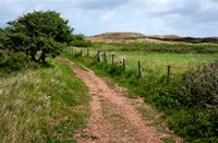 Eijerlandse Duinen