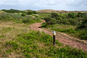 Eijerlandse Duinen