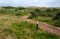 Eijerlandse Duinen