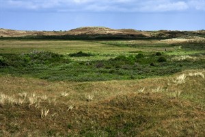 Eijerlandse Duinen