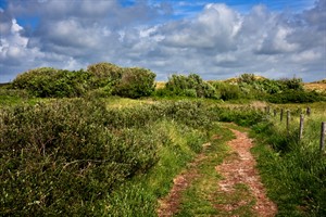 Eijerlandse Duinen