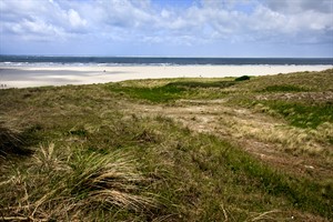 Eijerlandse Duinen