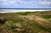 Eijerlandse Duinen