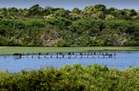 Natuurgebied De Geul