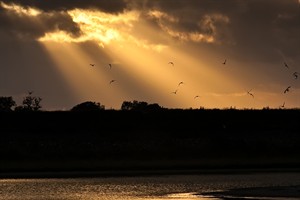 Zonsondergang Texel