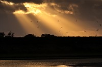 Zonsondergang Texel