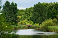 Natuurpark Lelystad, Natuurpark Lelystad