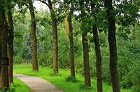 Natuurpark Lelystad, Natuurpark Lelystad