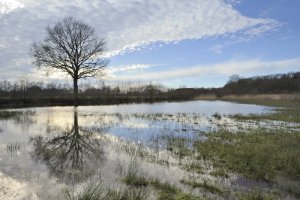 De Gelderse Vallei in beeld