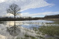 De Gelderse Vallei in beeld, Landgoed Scherpenzeel, Willem van Leuveren