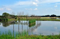 Brabantse Biesbosch, Brabantse Biesbosch