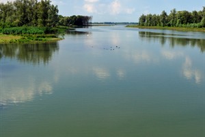 Brabantse Biesbosch