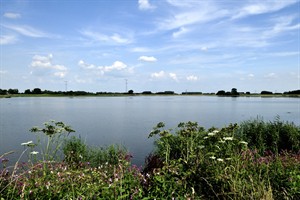 Biesbosch