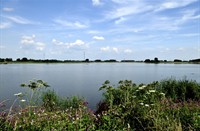 Biesbosch, Brabantse Biesbosch