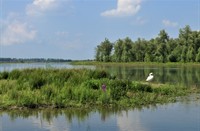 Biesbosch, Brabantse Biesbosch