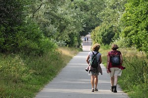 Wandelaars te Boswachterij Westerschouwen