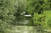 Loetbos, Natuurgebied Loetbos