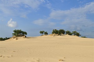 Loonse Drunense Duinen